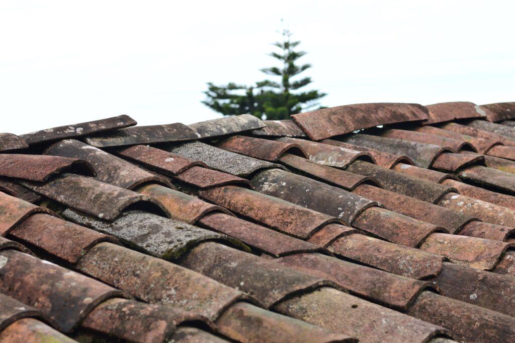 Marodes Dach, welches dringend saniert werden sollte.