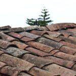 Marodes Dach, welches dringend saniert werden sollte.